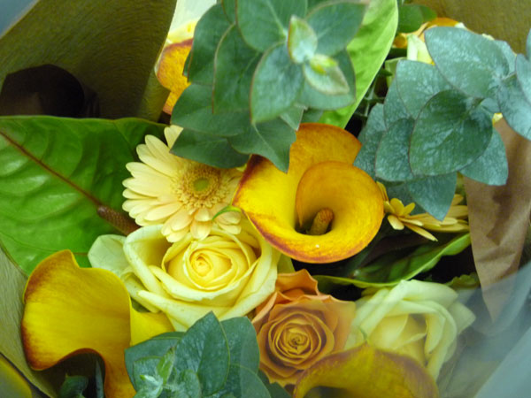 20101220-1.jpg