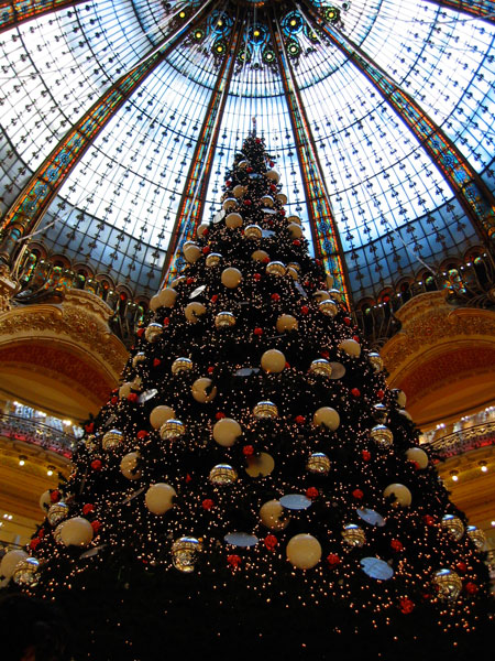 20101225.jpg