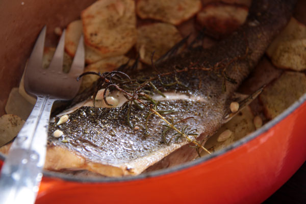 20110117-3.jpg