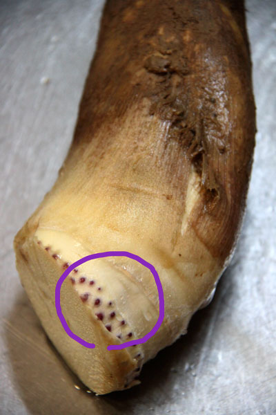 20110508-7.jpg