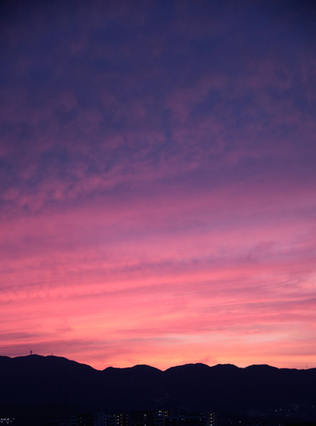20110618.jpg