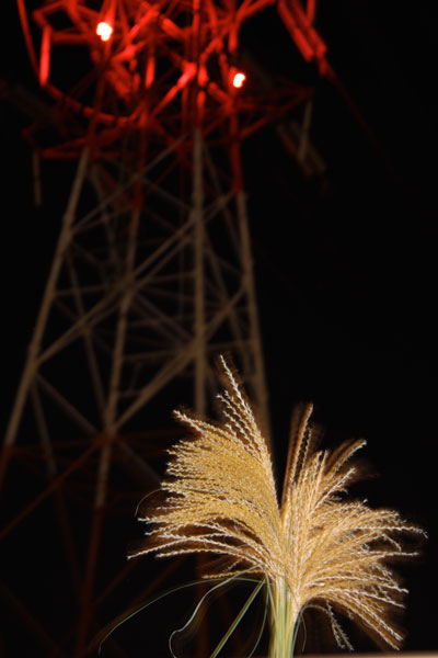 20131013-5.jpg