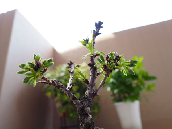 20180331-1.jpg