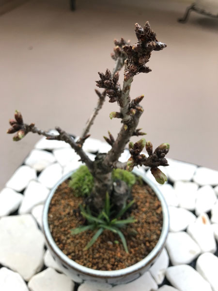 20180331-2.jpg