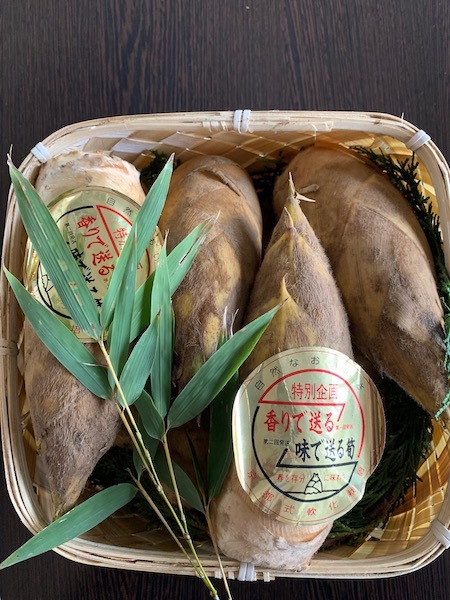 20190402-2.jpeg
